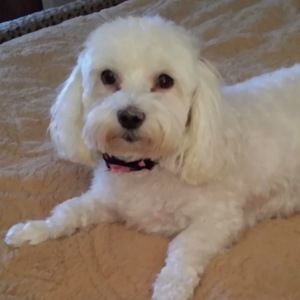 Meet your Posher, Vera